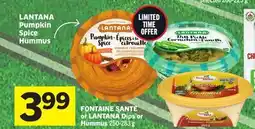 Foodland FONTAINE SANTÉ or LANTANA Dips or Hummus offer