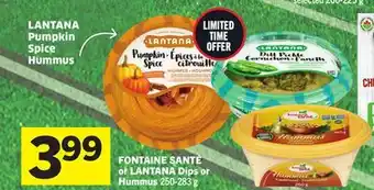 Foodland FONTAINE SANTÉ or LANTANA Dips or Hummus offer