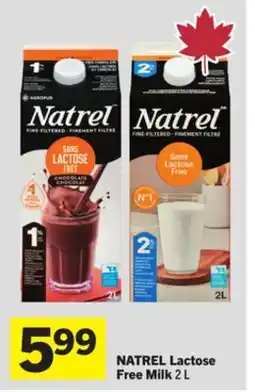 Foodland NATREL Lactose Free Milk offer