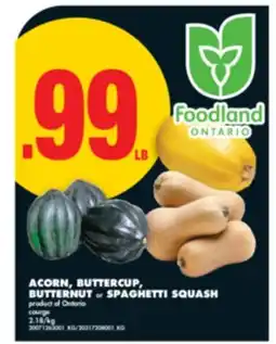 No Frills ACORN, BUTTERCUP, BUTTERNUT or SPAGHETTI SQUASH offer