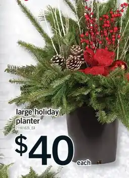 Fortinos LARGE HOLIDAY PLANTER PLANTER offer