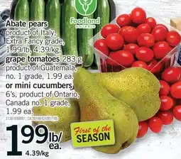 Fortinos ABATE PEARS GRAPE TOMATOES, 283 G OR MINI CUCUMBERS, 6'S offer