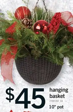 Fortinos HANGING BASKET, 10 POT offer