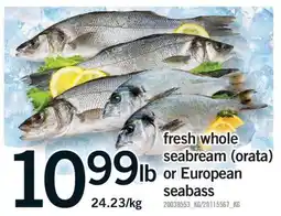 Fortinos FRESH WHOLE SEABREAM (ORATA) OR EUROPEAN SEABASS offer