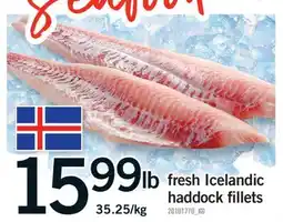 Fortinos FRESH ICELANDIC HADDOCK FILLETS offer