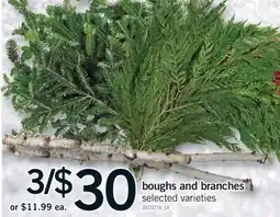 Fortinos BOUGHS AND BRANCHES offer