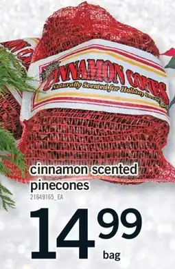 Fortinos CINNAMON SCENTED PINECONES offer