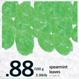 Fortinos SPEARMINT LEAVES offer