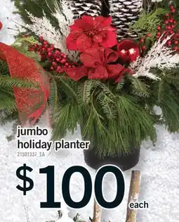 Fortinos JUMBO HOLIDAY PLANTER offer