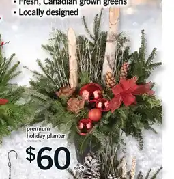 Fortinos PREMIUM HOLIDAY PLANTER offer
