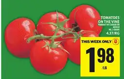 Food Basics TOMATOES ON THE VINE offer