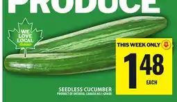 Food Basics SEEDLESS CUCUMBER offer