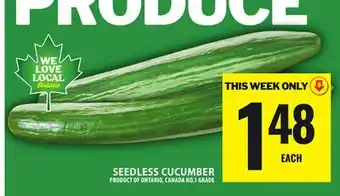 Food Basics SEEDLESS CUCUMBER offer