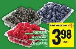 Food Basics RASPBERRIES OR BLACKBERRIES OR BLUEBERRIES offer