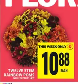 Food Basics TWELVE STEM RAINBOW POMS offer