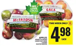 Food Basics APPLES offer