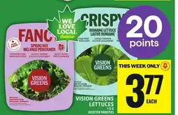 Food Basics VISION GREENS LETTUCES offer