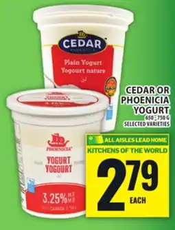 Food Basics CEDAR OR PHOENICIA YOGURT offer
