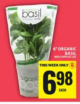 Food Basics 6 ORGANIC BASIL offer