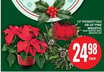 Food Basics 12 POINSETTIAS OR 24 PINE WREATHS offer