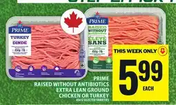 Food Basics PRIME RAISED WITHOUT ANTIBIOTICS EXTRA LEAN GROUND CHICKEN OR TURKEY offer