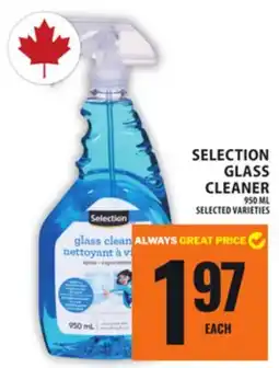 Food Basics SELECTION GLASS CLEANER offer