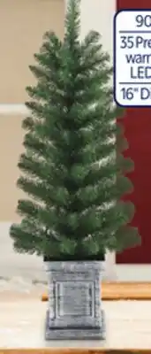 Walmart Set of 2 3.5' pre-lit Bristol porch trees offer