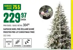 BMR SAPIN DE NOËL PRÉ-ÉCLAIRÉ GIVRÉ offer