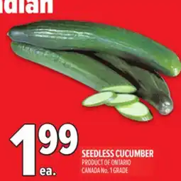 Metro SEEDLESS CUCUMBER offer