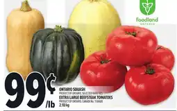Metro ONTARIO SQUASH offer