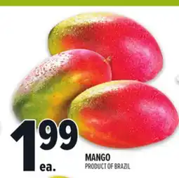 Metro MANGO offer