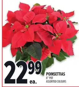 Metro POINSETTIAS offer