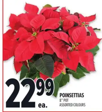 Metro POINSETTIAS offer