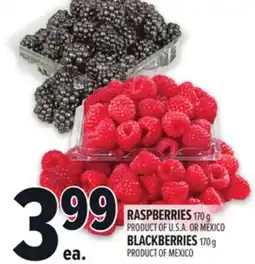 Metro RASPBERRIES offer