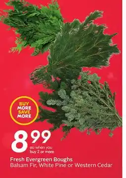 Sobeys Fresh Evergreen Boughs offer