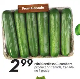 Sobeys Mini Seedless Cucumbers offer