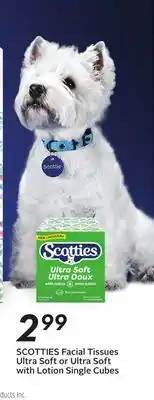 Sobeys Scotties Facial Tissues Ultra Soft or Ultra Soft with Lotion Single Cubes offer