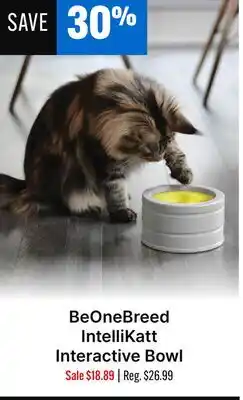 Ren’s Pets Depot BeOneBreed IntelliKatt Interactive Bowl offer