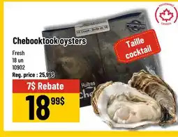 Mayrand Chebooktook Oyster 18 un offer