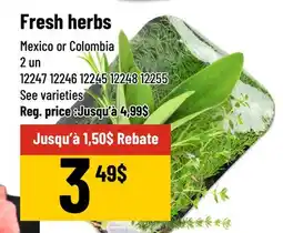 Mayrand Fresh herbs offer