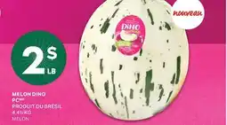 L'Intermarché MELON DINO | MELON offer