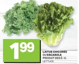 L'Intermarché LAITUE CHICORÉE OU ESCAROLE | LETTUCE offer