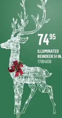Canac Illuminated Reindeer 51 in offer