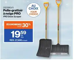 Patrick Morin PRO Snow Scraper offer