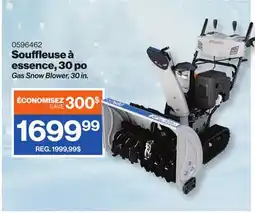Patrick Morin Gas Snow Blower, 30 in offer