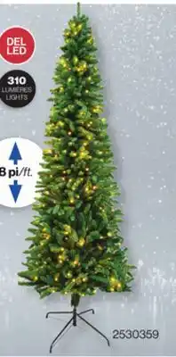 Patrick Morin SELECTED CHRISTMAS TREES offer