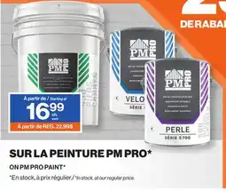 Patrick Morin PM PRO PAINT offer