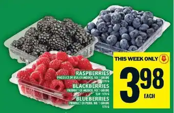 Food Basics Raspberries, Blackberries, Blueberries offer