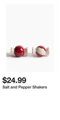 H&M Salt and Pepper Shakers offer