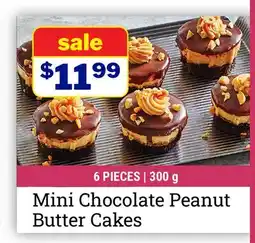 M & M Food Market Mini Chocolate Peanut Butter Cakes offer